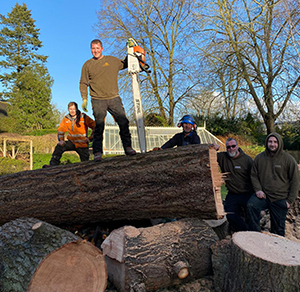 KINGS TREE