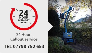 Tree surgeons Didcot