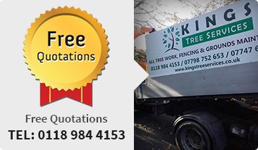 Tree surgeons Henley