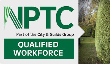 Tree surgeons Bracknell