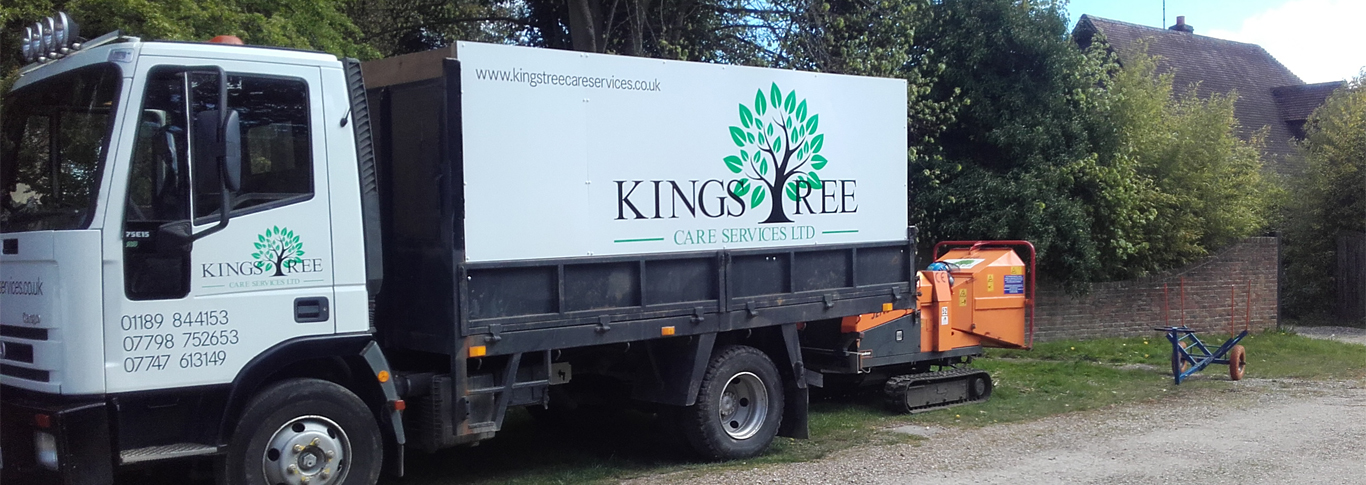 Tree surgeons Reading 1