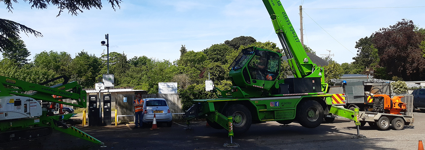Tree surgeons Reading