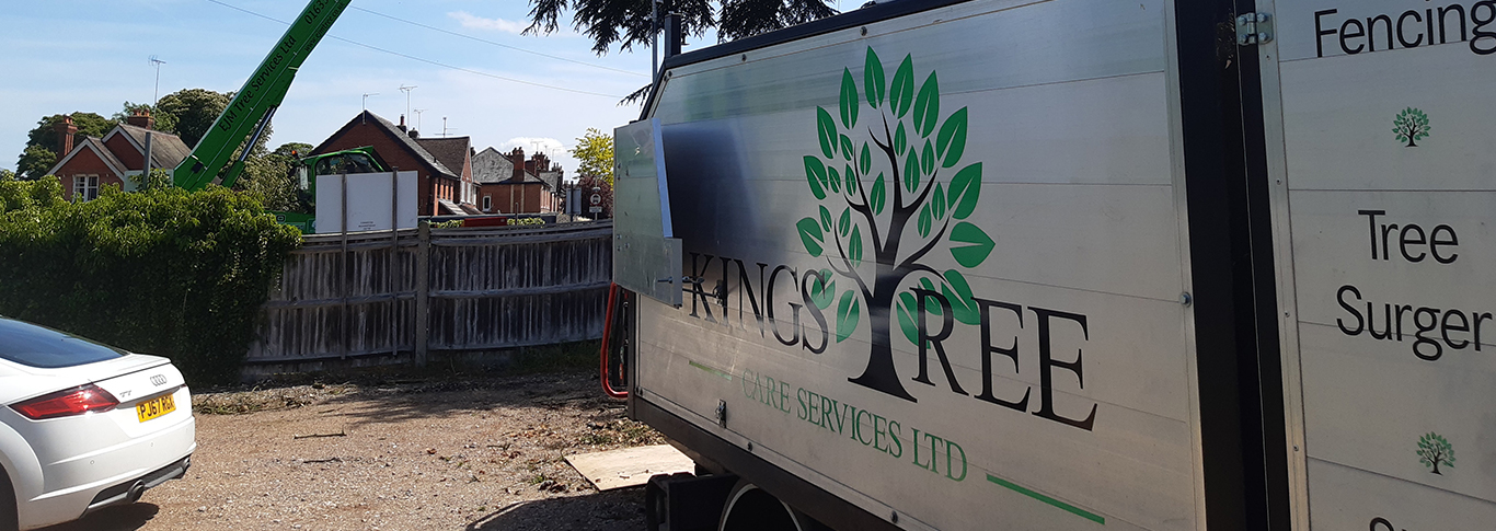 Tree surgeons Reading