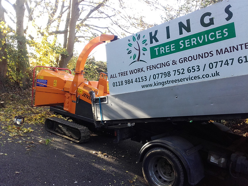 Tree surgeons Bracknell 2