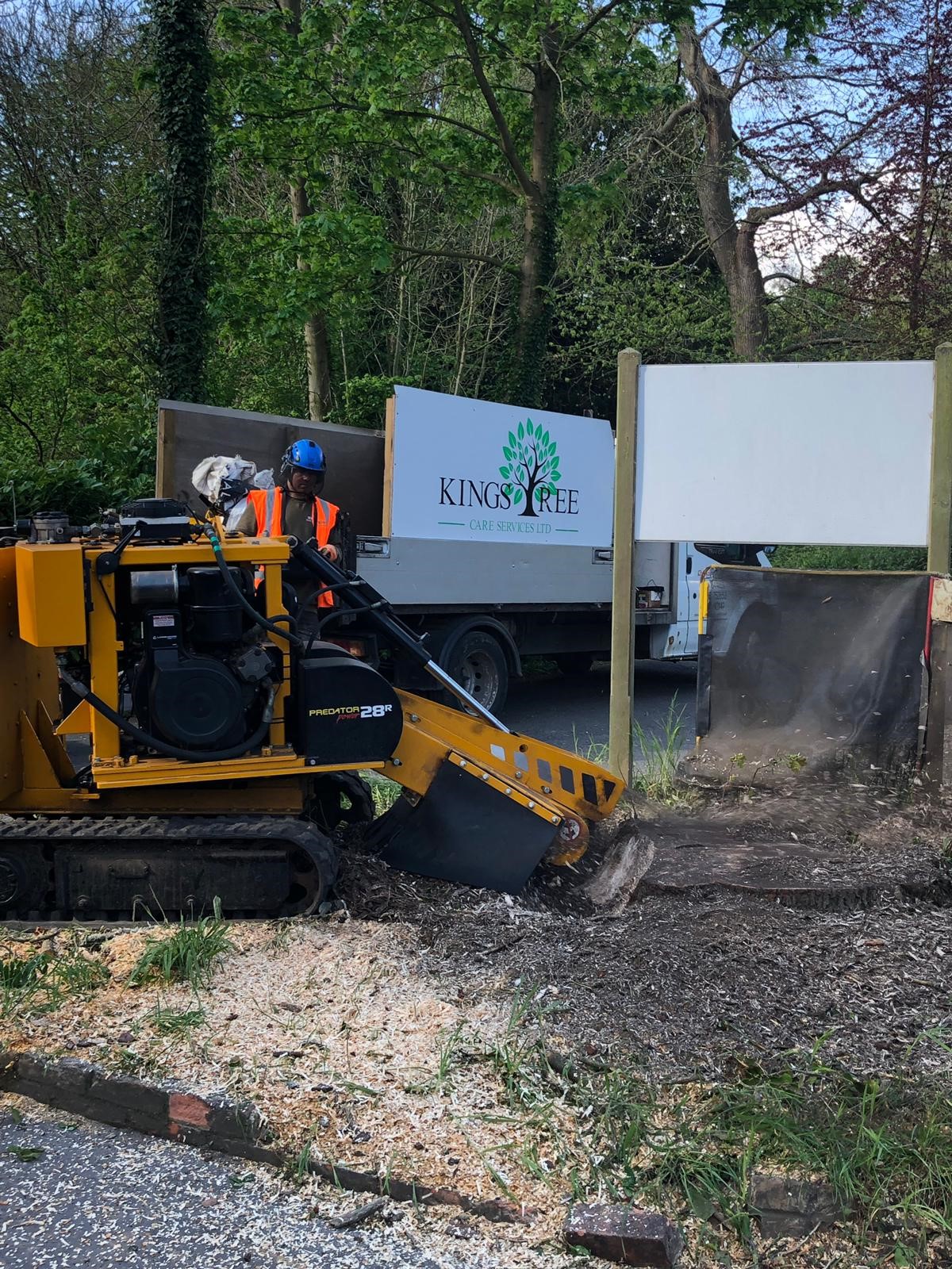Tree surgeons Wokingham 2
